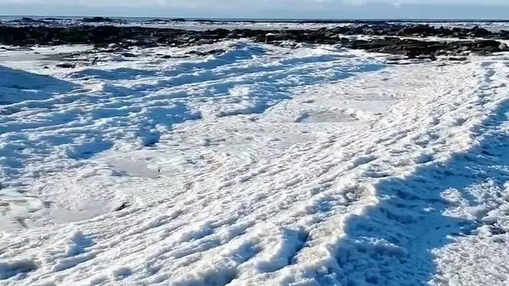 Se congeló el mar en Tierra del Fuego debido a las bajas temperaturas