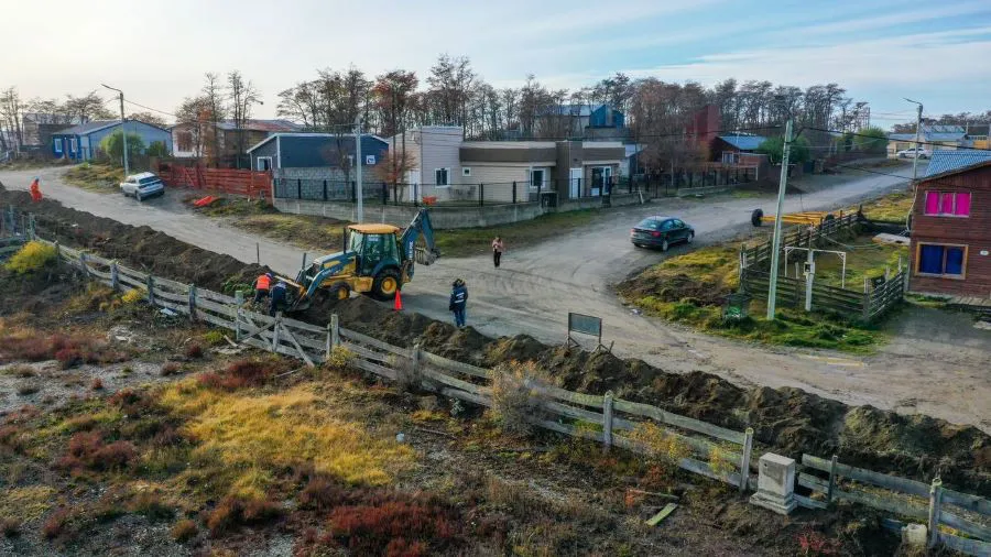 photo_4958545992865656202_y