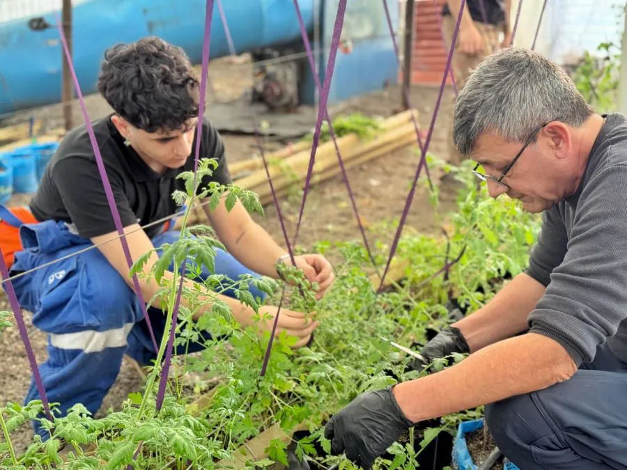 photo_5093982026997631758_y