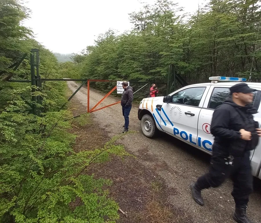 photo_5102831454919962238_y