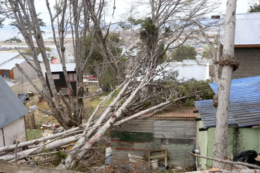 photo_5057866956966834179_y