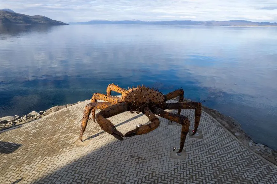 photo_4967975387405593874_y