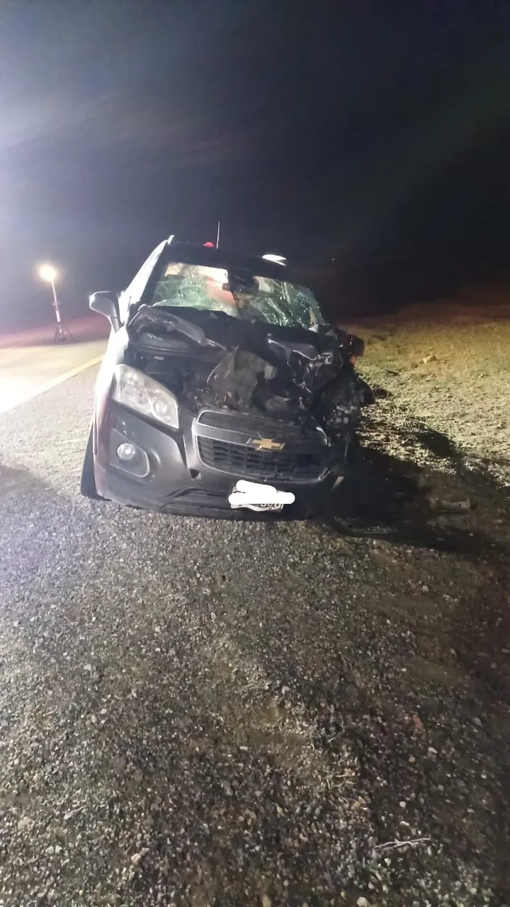 WhatsApp Image 2024-10-14 at 09.31.30