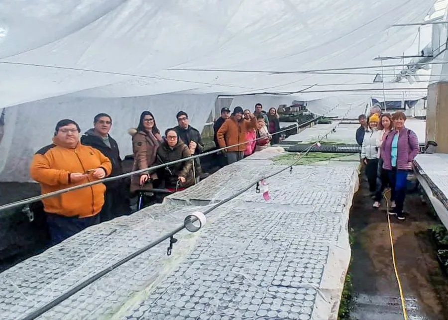 photo_4969949788166532668_y