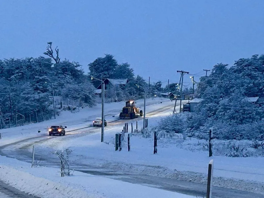 photo_5114163614461308164_y