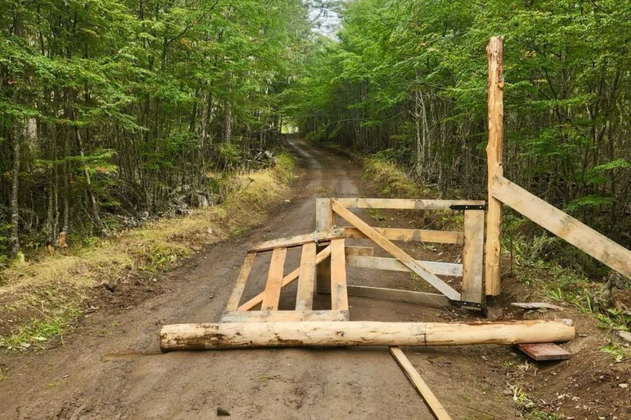 photo_5069059847898639688_y