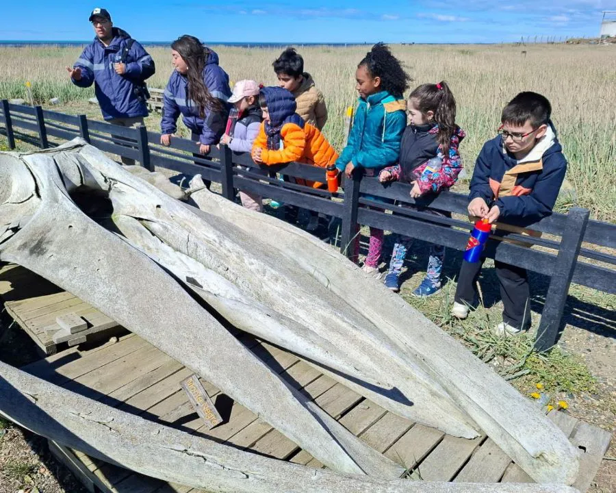 photo_4985609432205036327_y