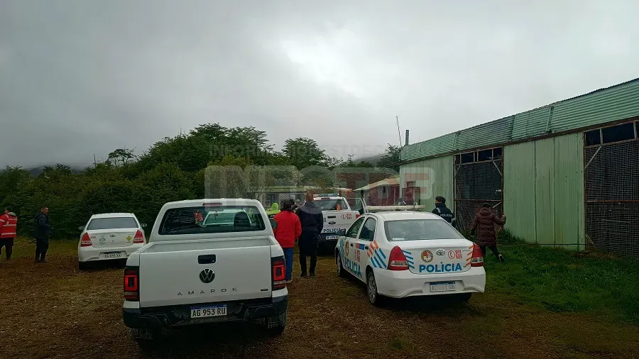 WhatsApp Image 2024-12-11 at 10.55.16