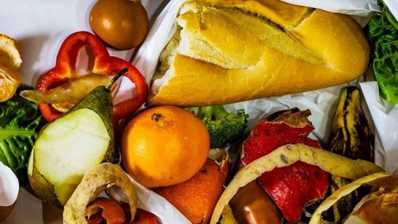 WhatsApp Image 2026-04-11 at 12.19.10