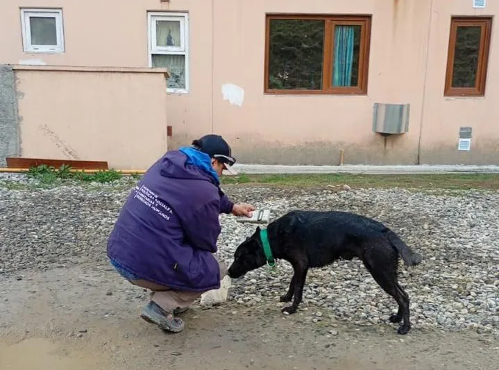 photo_5082783604147948469_y