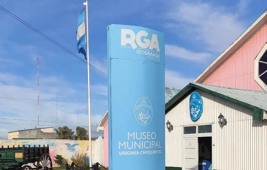 WhatsApp Image 2026-03-03 at 11.14.24