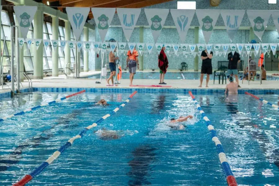 photo_5084922278814265066_y