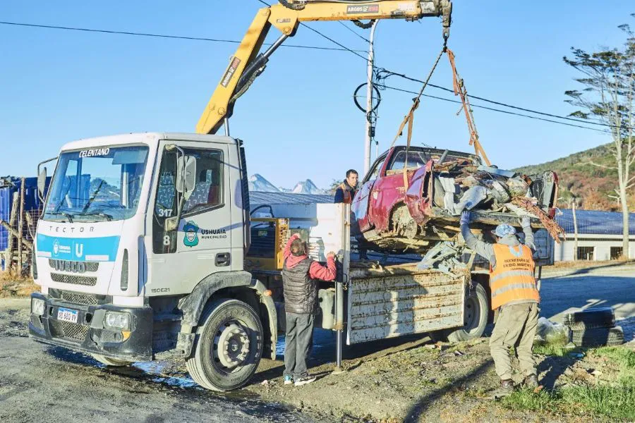 photo_4900470862428352181_y