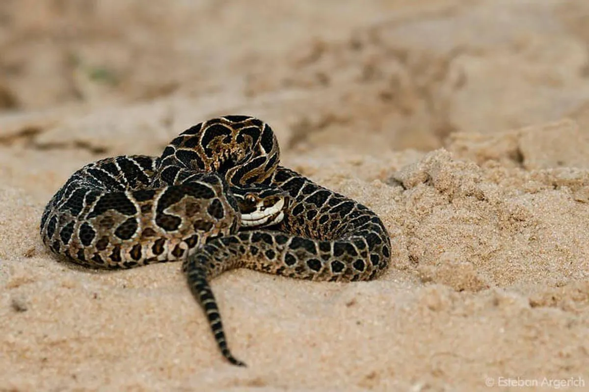 32db2069-adc6-4d0d-a619-bd0036920bd3