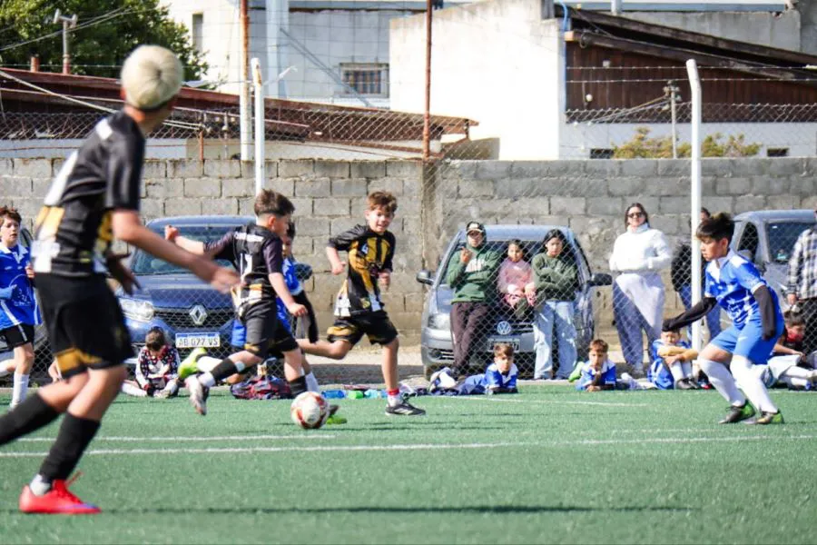 photo_4945099279194328123_y