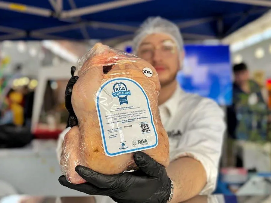 photo_5035532087649307413_y