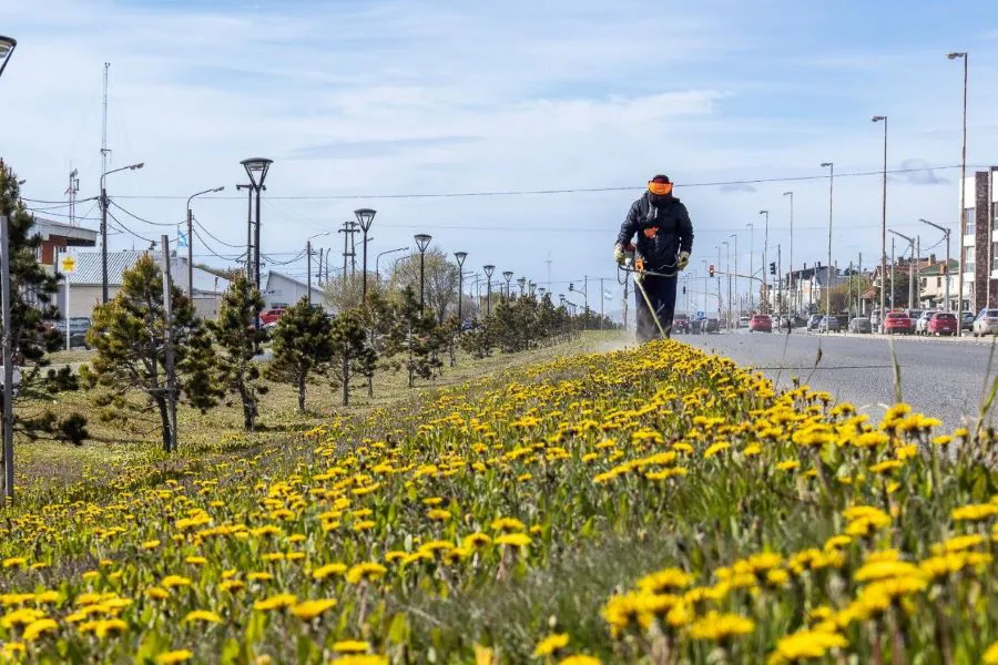 photo_4915739819061742380_y