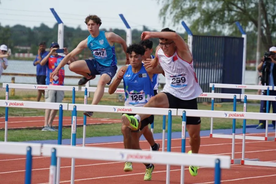 photo_5028270354513726289_y