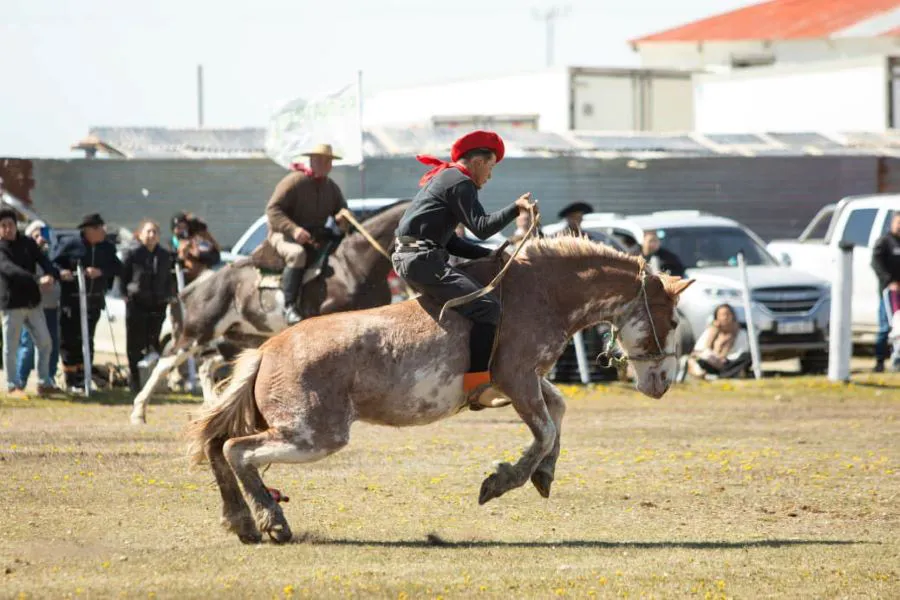 photo_4940957981533211404_y