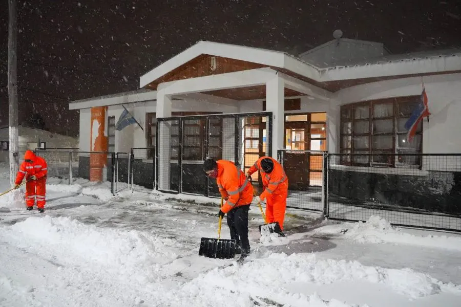 photo_4997284312952975221_y