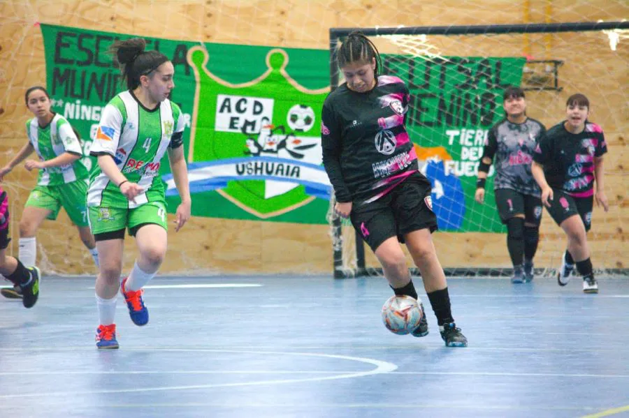 photo_5008534833755959984_y