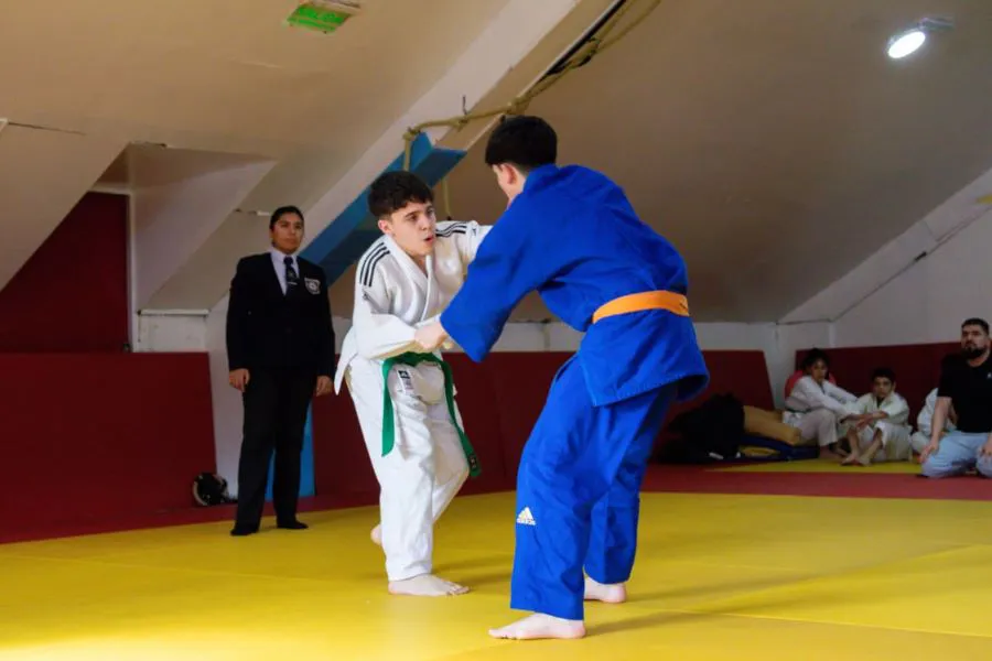 photo_5073630543508868155_y