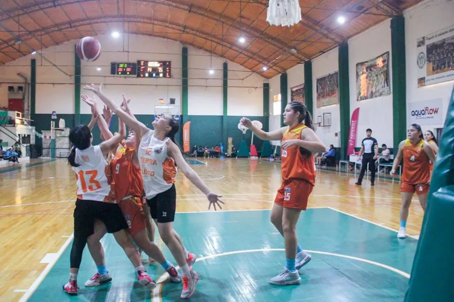 photo_4920594635341016676_y