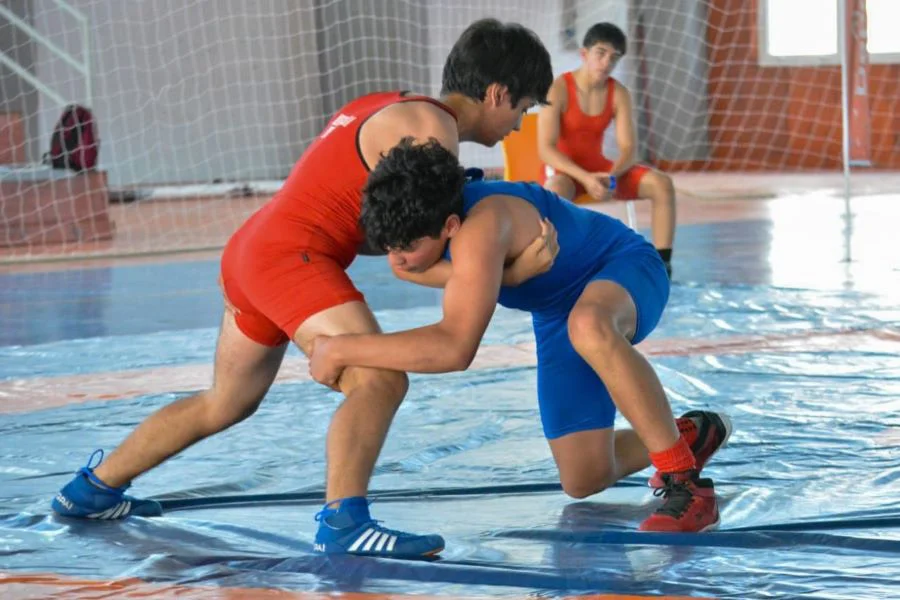 photo_5026117502156606631_y