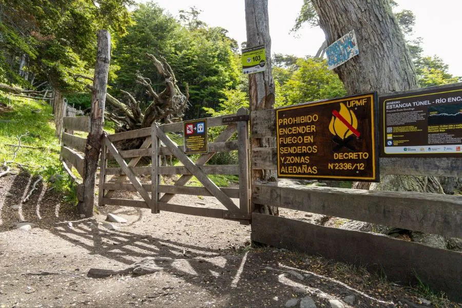 photo_4915826427077266272_y