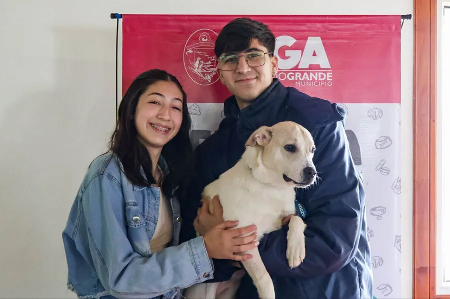 photo_5057551998425083064_y