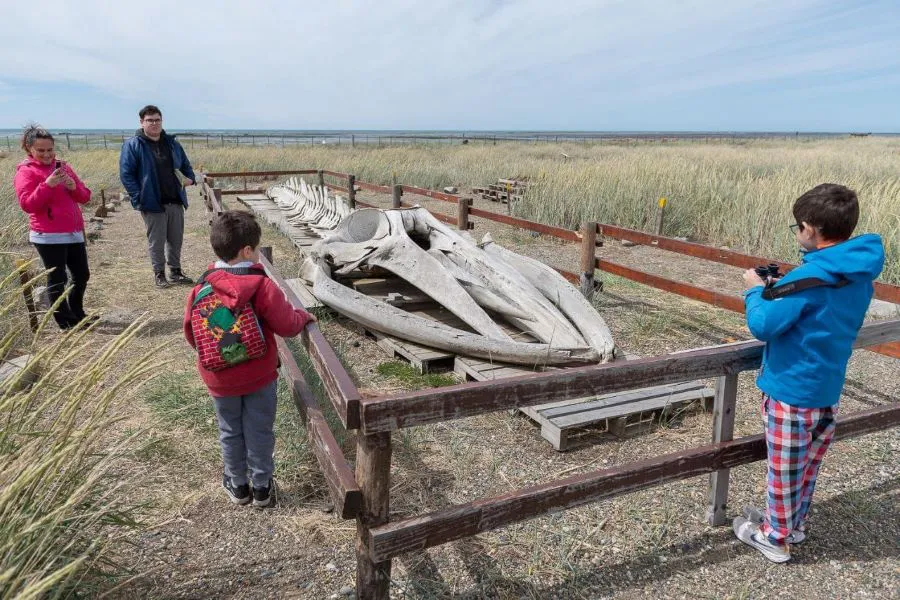 photo_5118642621105942102_y