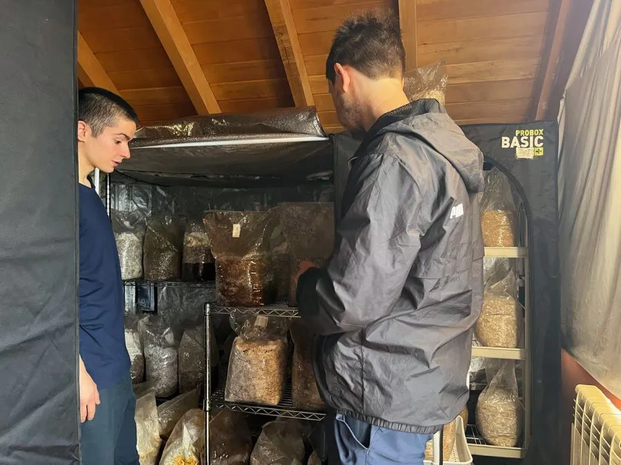 photo_5066808048084954769_y