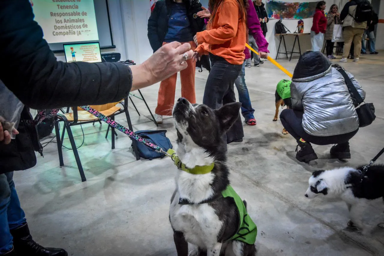 Se concretó en Ushuaia una nueva jornada de cuidado responsable de animales