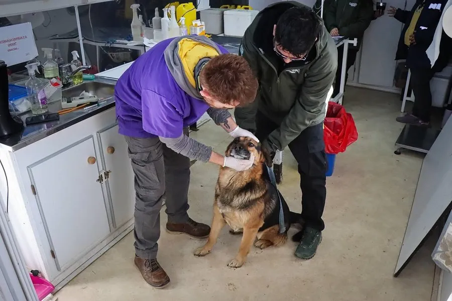 photo_5181538586045034028_y