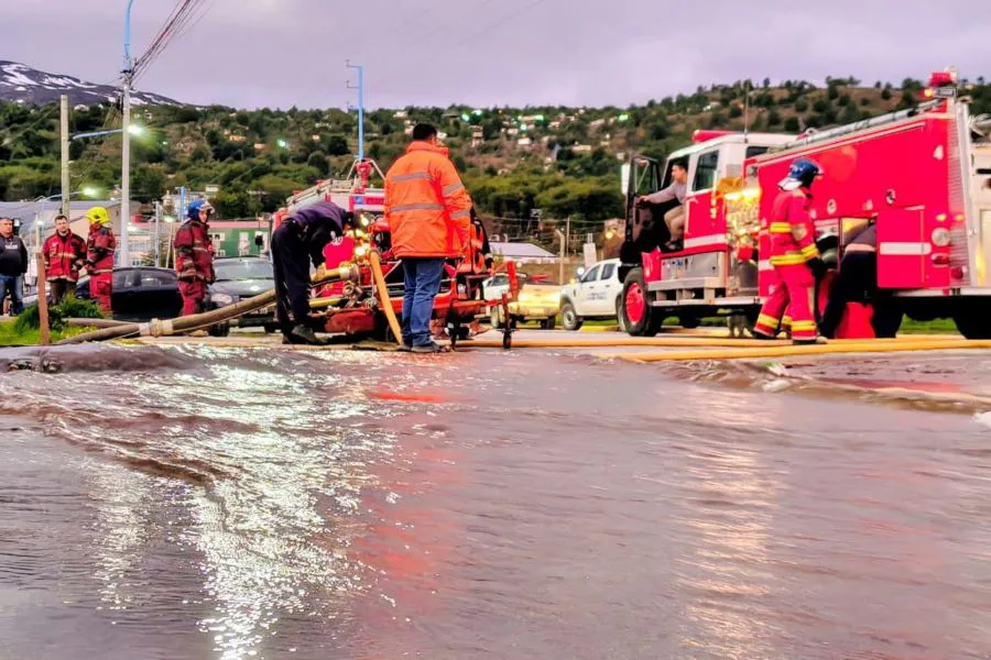 photo_4938664138284665724_y