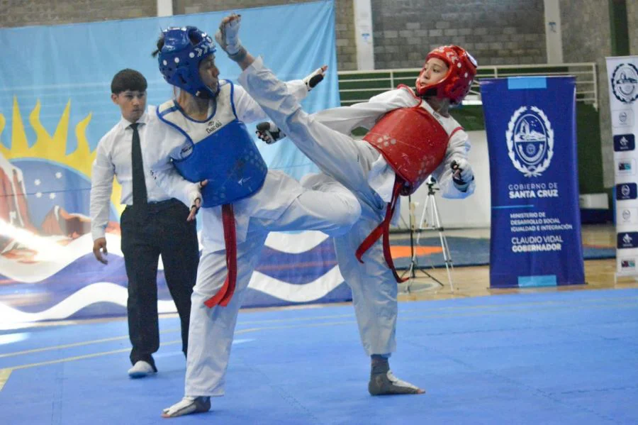 Taekwondo