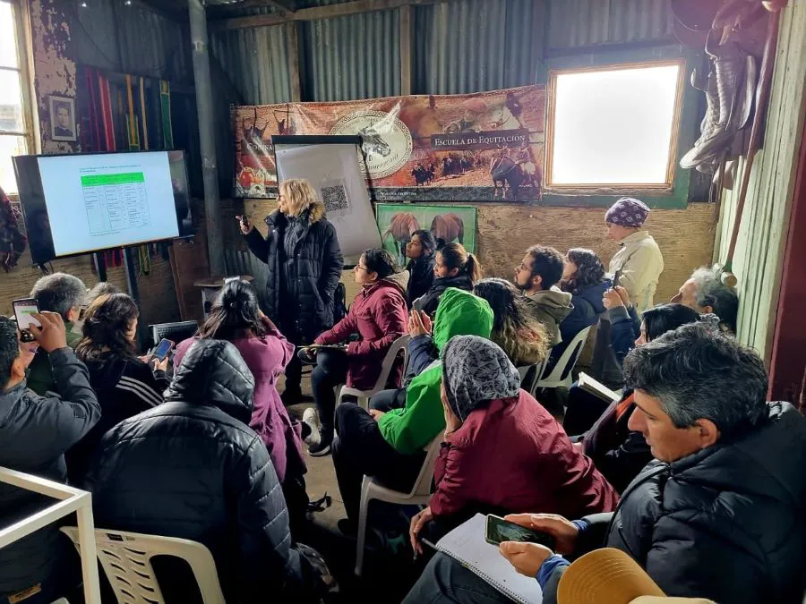 photo_5053069263752596287_y