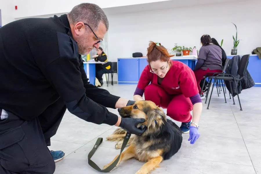 photo_5168118720210513525_w