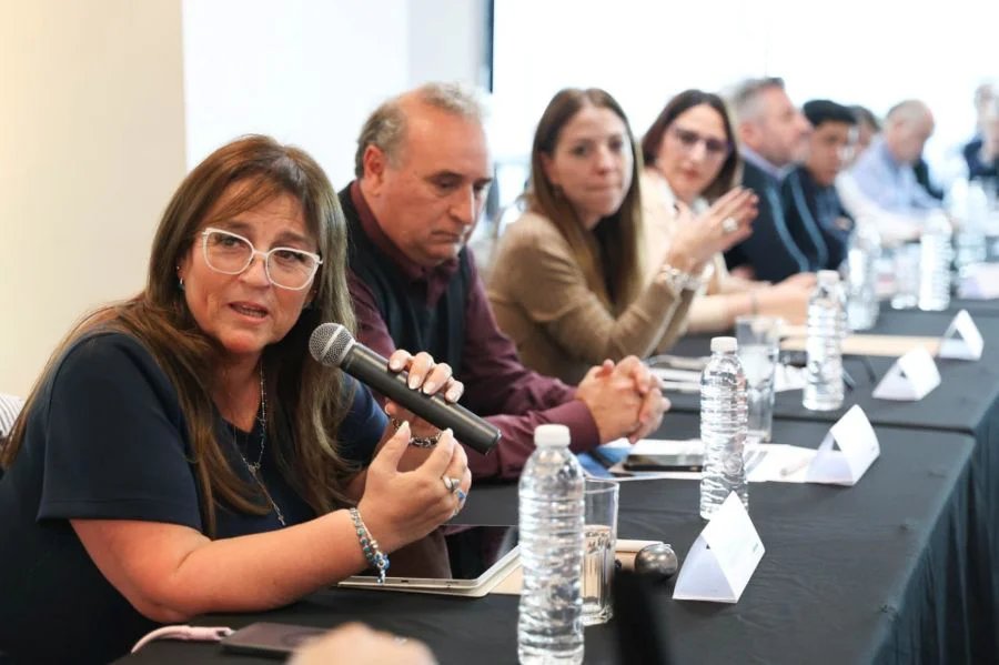 Analizan la planificación energética nacional y el impacto de las nuevas tarifas
