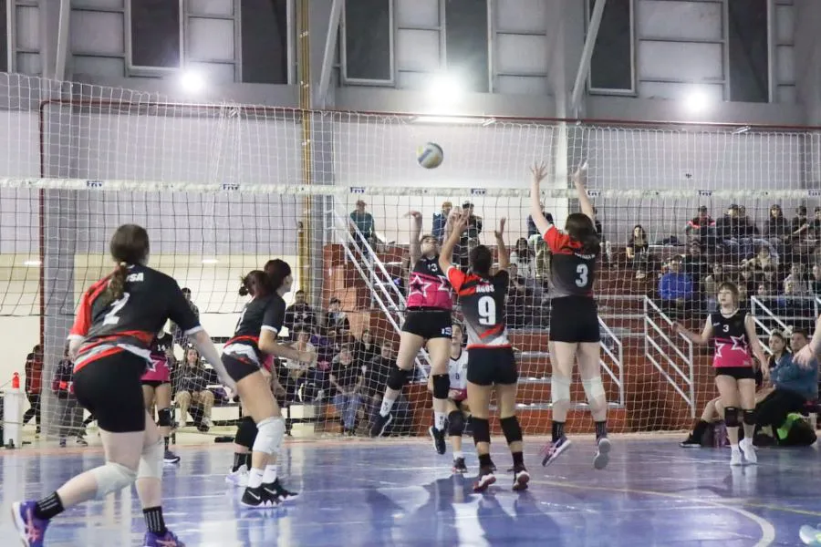 photo_4940844250795453956_y