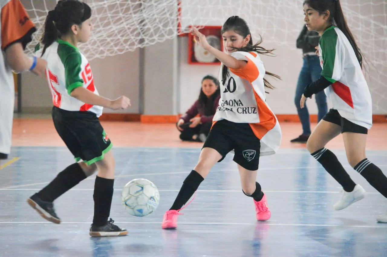 Ushuaia fue sede de numerosas competencias de hockey, futsal, vóley y básquet (3)