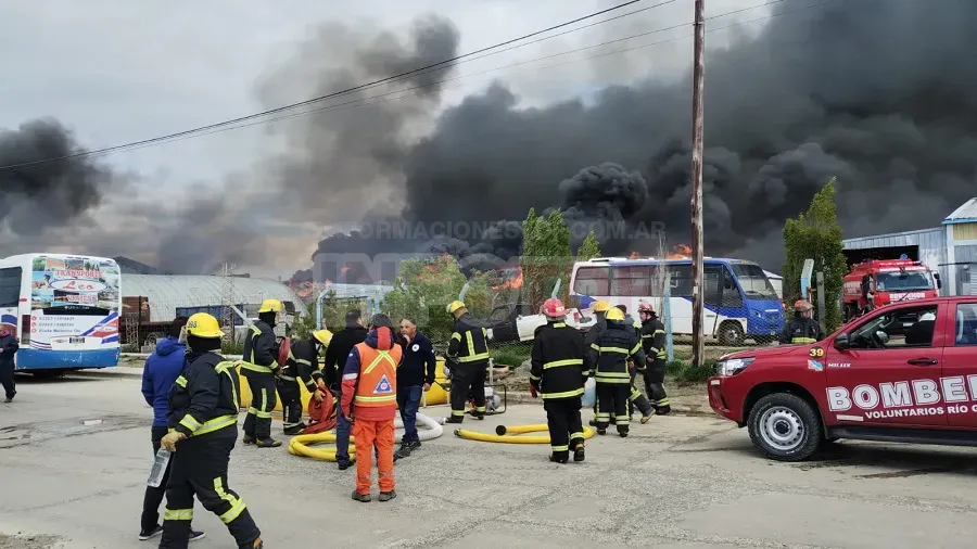 WhatsApp Image 2024-12-04 at 11.00.04