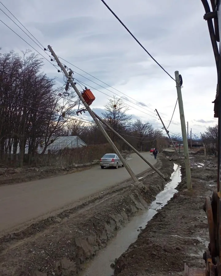 photo_5102811096774978548_y