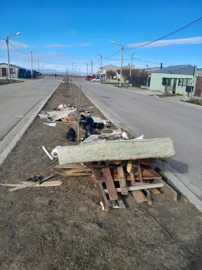 photo_5080573903603698454_y