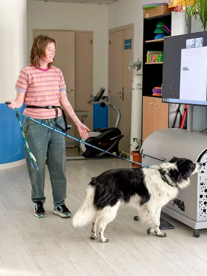 photo_5143235758461660880_y