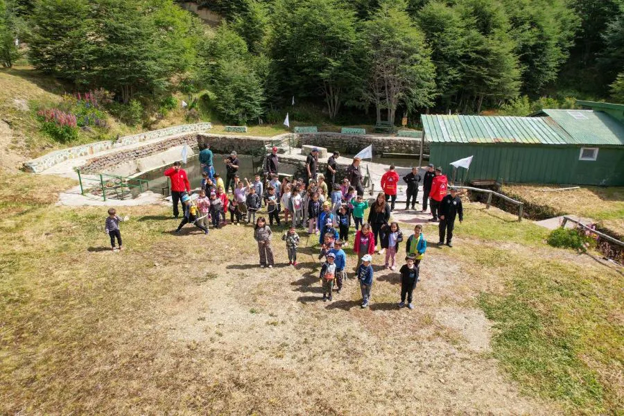 photo_4936467219559329070_y