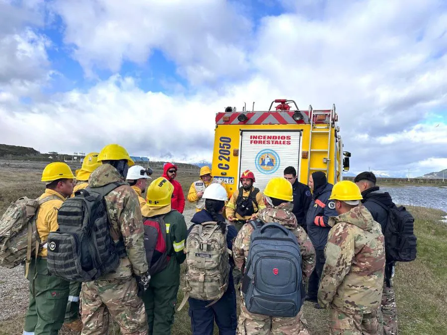 photo_4987998164166052697_y