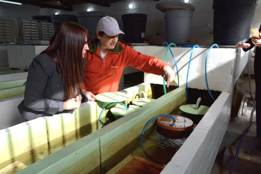 photo_5132033521684777739_y