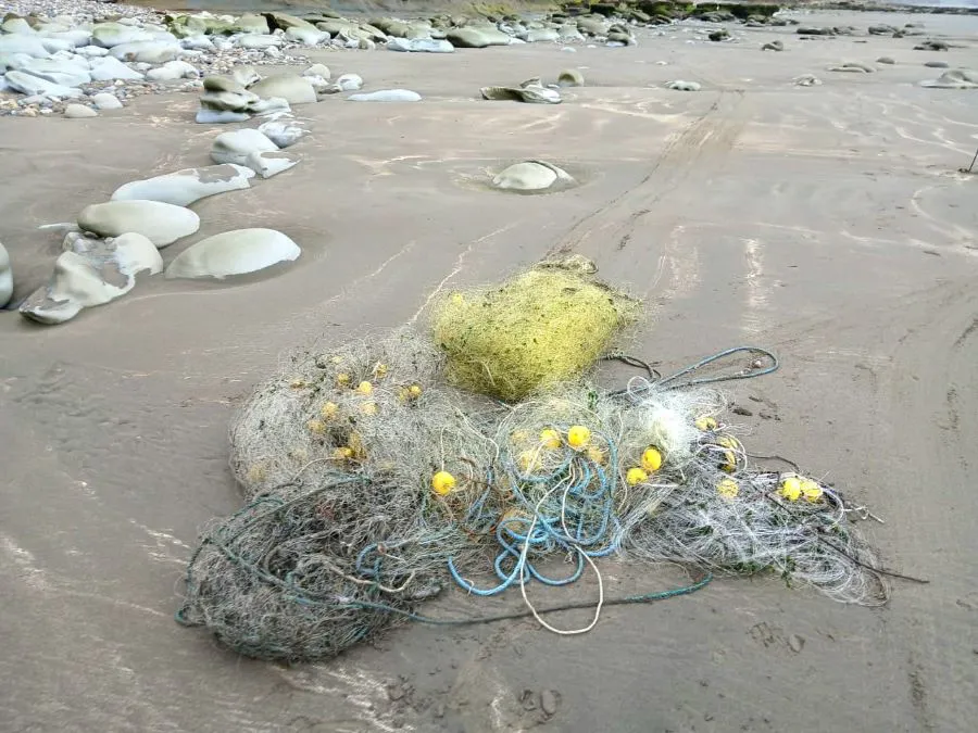 photo_4936447226486567336_y