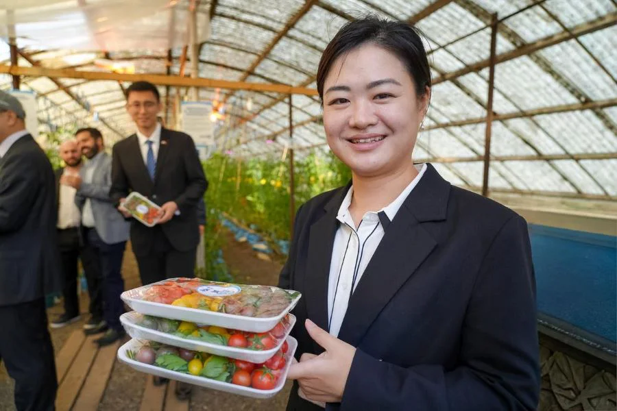 photo_5019351412541950867_y